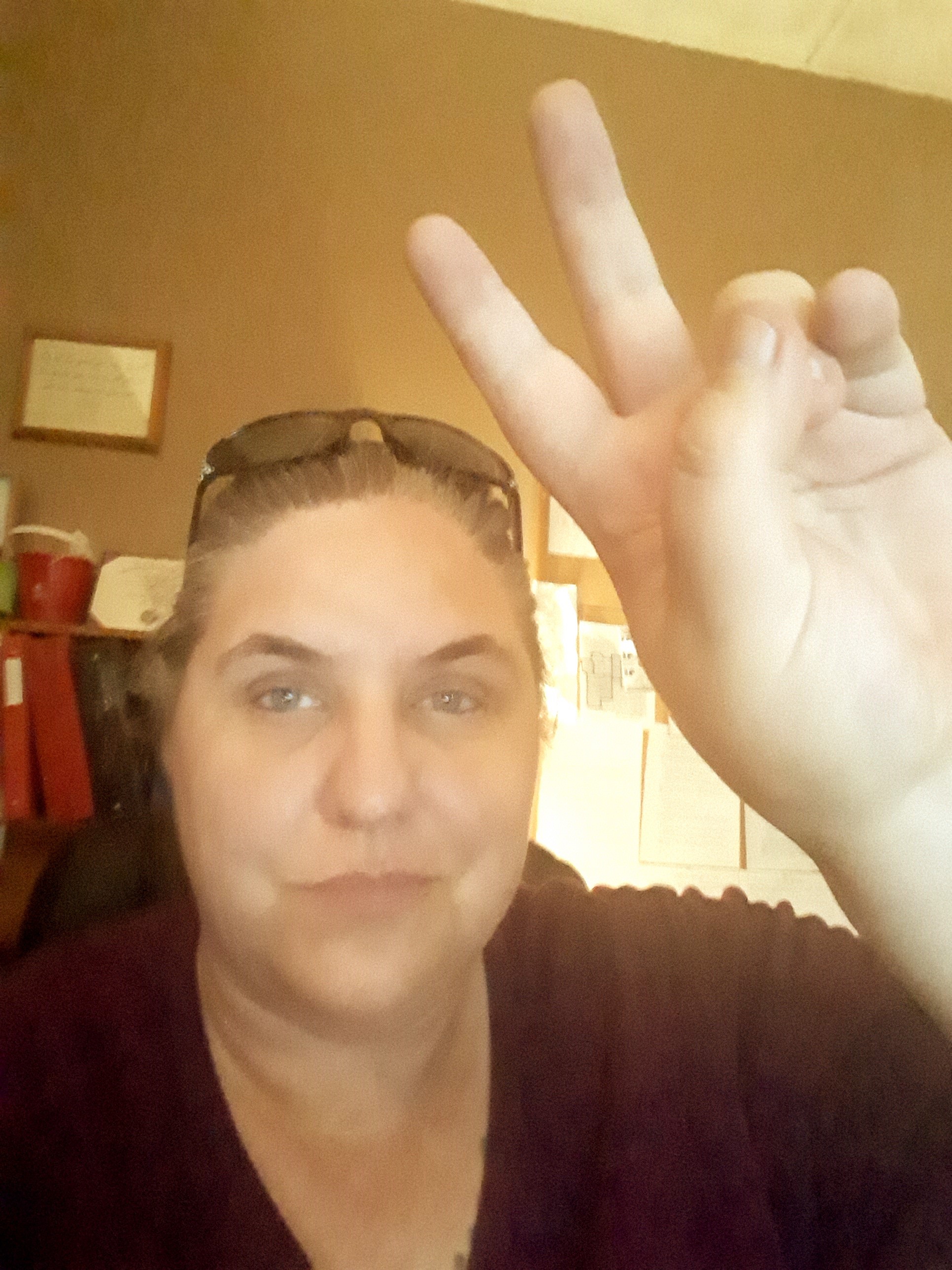 A white woman is looking into the camera with a smirk. Her hair is pulled back into a ponytail. She has sunglasses on top of her head. She is wearing a dark colored top and is holding up the peace sign with her right hand. Background: A room with yellow-ish light. The walls are a muted brown color. There are frames on the wall. There is also a bookshelf to the left with binders on it.